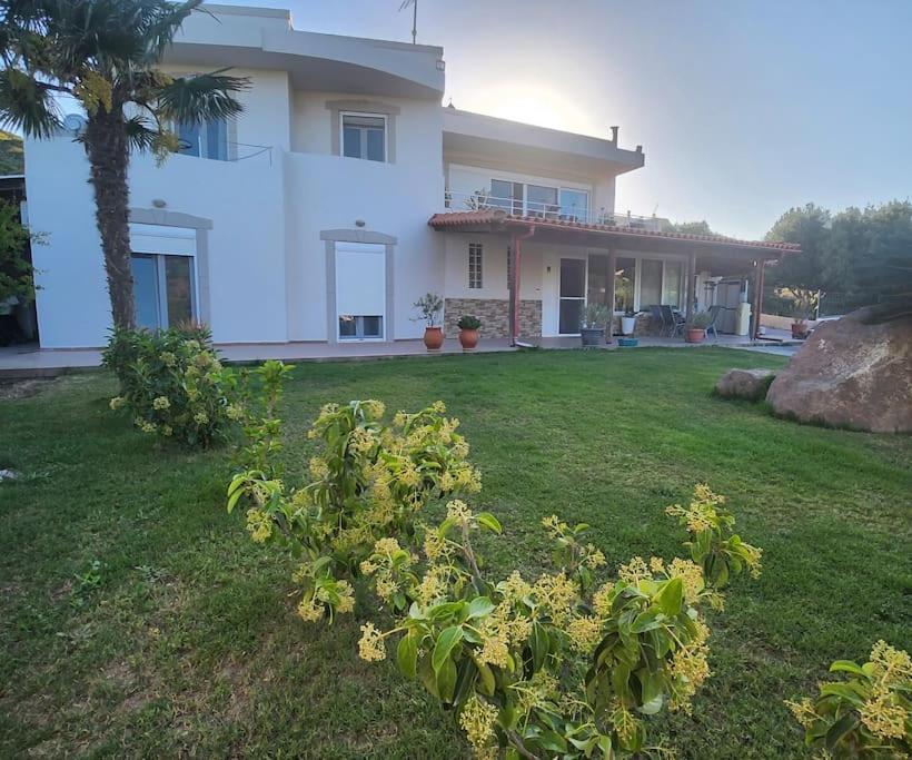 הוילה Kámpos Lux House With Garden מראה חיצוני תמונה